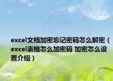 excel文档加密忘记密码怎么解密（excel表格怎么加密码 加密怎么设置介绍）