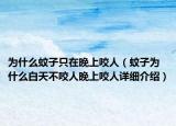为什么蚊子只在晚上咬人（蚊子为什么白天不咬人晚上咬人详细介绍）