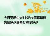 今日更新中兴S30Pro屏幕峰值亮度多少屏幕分辨率多少