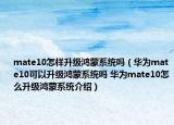 mate10怎样升级鸿蒙系统吗（华为mate10可以升级鸿蒙系统吗 华为mate10怎么升级鸿蒙系统介绍）