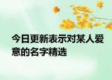 今日更新表示对某人爱意的名字精选