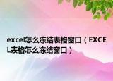 excel怎么冻结表格窗口（EXCEL表格怎么冻结窗口）