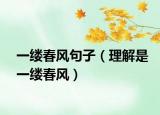 一缕春风句子（理解是一缕春风）