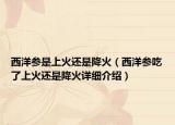 西洋参是上火还是降火（西洋参吃了上火还是降火详细介绍）