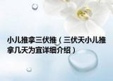 小儿推拿三伏推（三伏天小儿推拿几天为宜详细介绍）