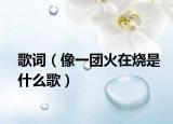 歌词（像一团火在烧是什么歌）