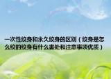 一次性纹身和永久纹身的区别（纹身是怎么纹的纹身有什么害处和注意事项优质）