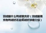 羽绒服什么鸭绒填充好（羽绒服填充物鸭绒好还是鹅绒好详细介绍）