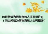 问世间情为何物直教人生死相许dj（问世间情为何物直教人生死相许）