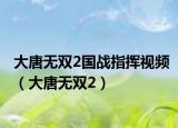 大唐无双2国战指挥视频（大唐无双2）