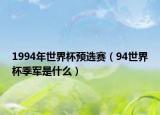 1994年世界杯预选赛（94世界杯季军是什么）