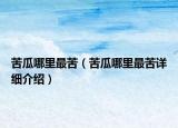 苦瓜哪里最苦（苦瓜哪里最苦详细介绍）