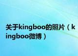 关于kingboo的照片（kingboo微博）