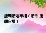 唐朝萧姓宰相（萧鼎 唐朝官员）