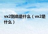 vx2到底是什么（vx2是什么）
