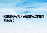 梁宸是gay吗（就是那花为眉的男主角）