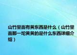 山竹里面有黄东西是什么（山竹里面那一坨黄黄的是什么东西详细介绍）