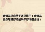 金银花是自然干还是烘干（金银花自然晾晒好还是烘干好详细介绍）