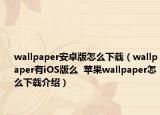 wallpaper安卓版怎么下载（wallpaper有iOS版么  苹果wallpaper怎么下载介绍）
