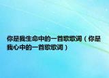 你是我生命中的一首歌歌词（你是我心中的一首歌歌词）