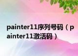 painter11序列号码（painter11激活码）