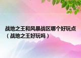 战地之王和风暴战区哪个好玩点（战地之王好玩吗）