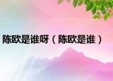 陈欧是谁呀（陈欧是谁）