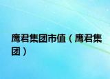 鹰君集团市值（鹰君集团）