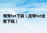 莺莺txt下载（流莺txt全集下载）