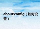 about:config（如何设置）