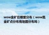 wow金矿在哪里分布（wow氪金矿点分布有地图分布吗）