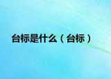 台标是什么（台标）