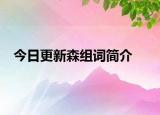 今日更新森组词简介