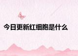 今日更新红细胞是什么