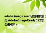 adobe image ready如何修图（用:AdobeImageReadyCS2怎么做GIF）