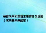 杂音未来和重音未来有什么区别（求杂音未来的歌）