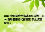 excel中自动套用格式怎么设置（excel自动套用格式在哪里 怎么设置介绍）