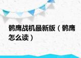 鹘鹰战机最新版（鹘鹰怎么读）