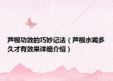 芦根功效的巧妙记法（芦根水喝多久才有效果详细介绍）