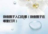 微信圈子入口在哪（微信圈子在哪里打开）