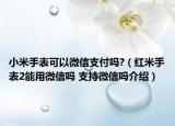 小米手表可以微信支付吗?（红米手表2能用微信吗 支持微信吗介绍）