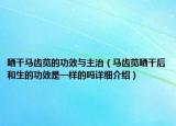晒干马齿苋的功效与主治（马齿苋晒干后和生的功效是一样的吗详细介绍）