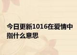 今日更新1016在爱情中指什么意思