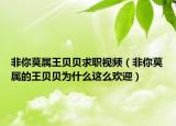 非你莫属王贝贝求职视频（非你莫属的王贝贝为什么这么欢迎）