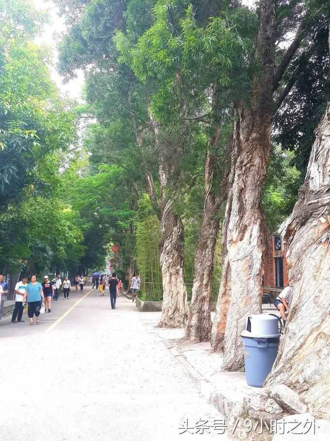 小聚广州，红砖厂一日游