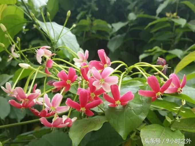 小聚广州，红砖厂一日游