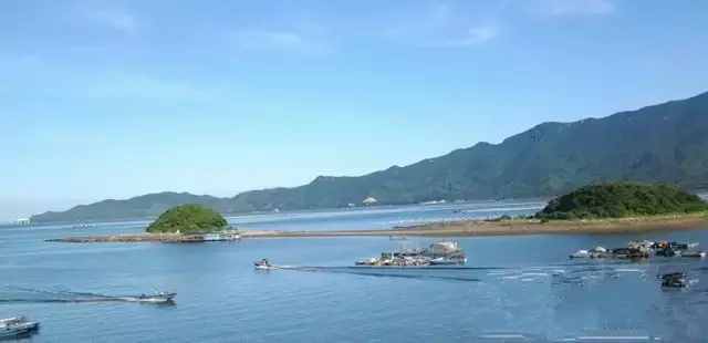 广州周边这5个小渔村，有吃不完的生猛海鲜，还藏着绝美海景