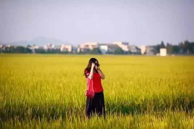 广州周边这5个小渔村，有吃不完的生猛海鲜，还藏着绝美海景
