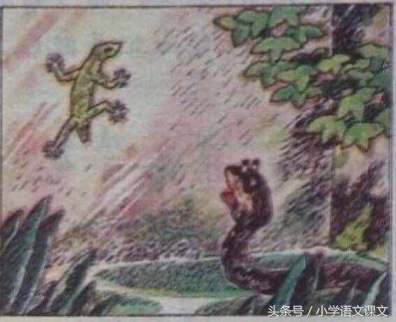 小壁虎借尾巴-小学一年级