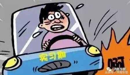 拿到驾照先别激动，“实习期”了解一下！